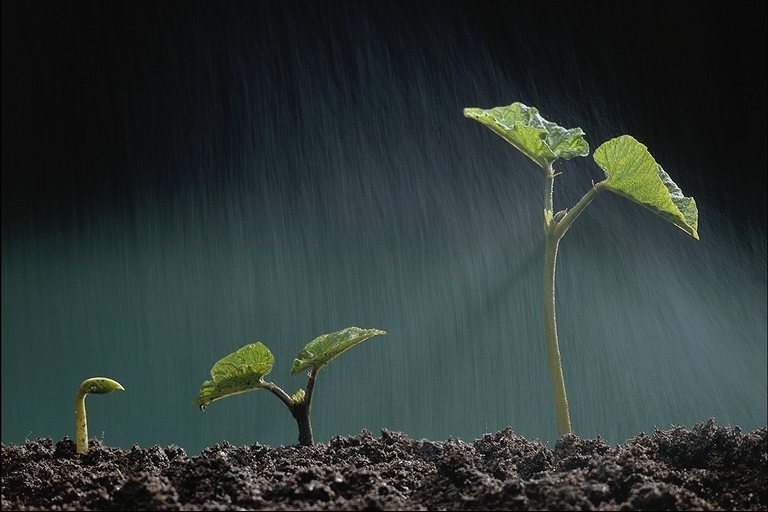 三月里的小雨