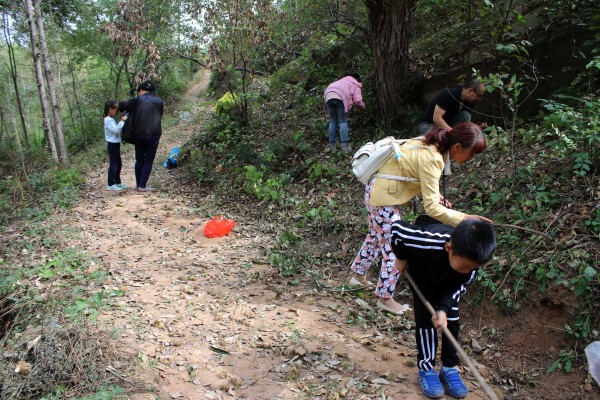 黄龙深处寻拾野板栗 黄龙深处寻拾野板栗