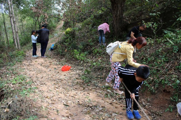 黄龙深处寻拾野板栗