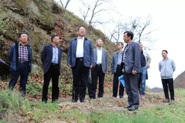 龙钢集团领导到大西沟矿业公司调研指导多元产业发展工作