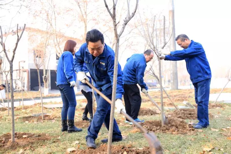  植树育苗 绿化家园——西钢、红光物流公司开展春季植树活动