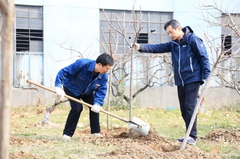 植树育苗 绿化家园——西钢、红光物流公司开展春季植树活动 植树育苗 绿化家园——西钢、红光物流公司开展春季植树活动