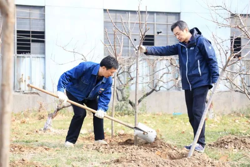  植树育苗 绿化家园——西钢、红光物流公司开展春季植树活动