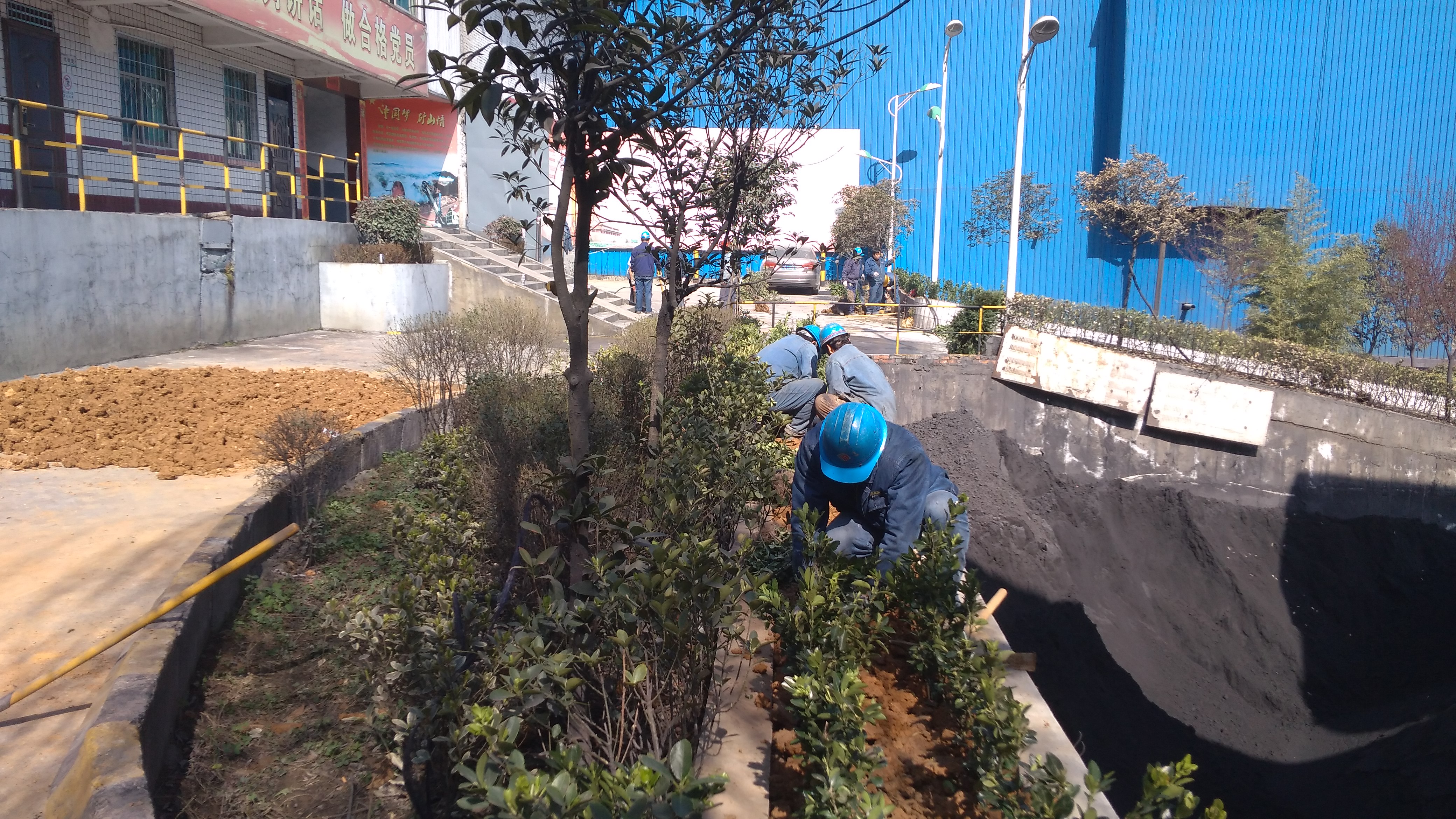 植树造林 打造绿色矿山 植树造林 打造绿色矿山