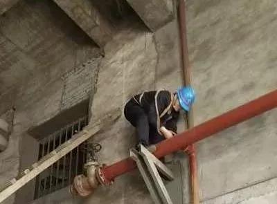 护航者 护航者