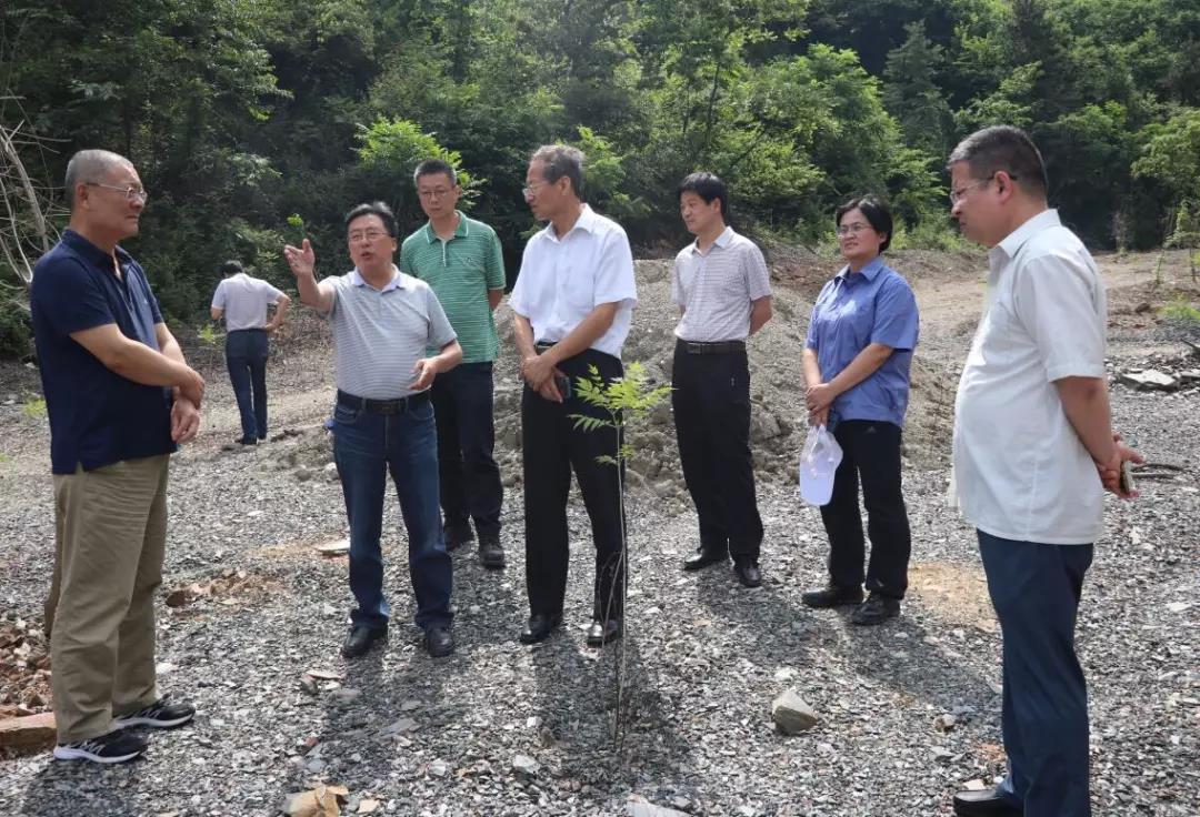 国家自然资源部咨询研究中心调研组到大西沟矿业公司调研 国家自然资源部咨询研究中心调研组到大西沟矿业公司调研