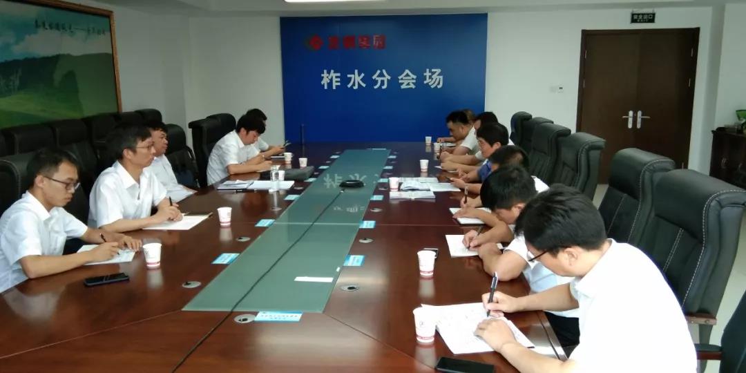龙钢集团强化生产经营管理 全力做好国内矿供应业务 龙钢集团强化生产经营管理 全力做好国内矿供应业务