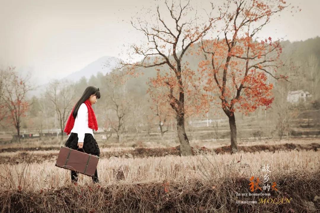 故乡的秋 故乡的秋