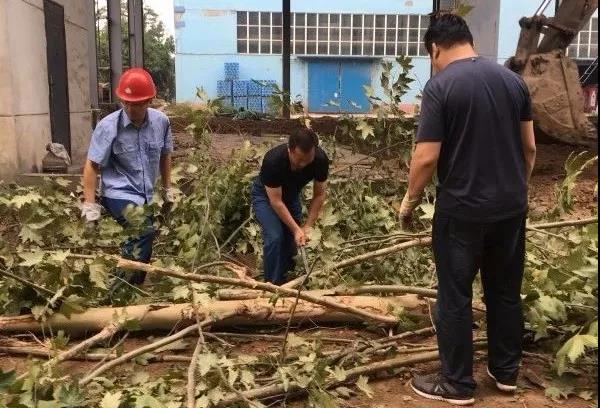 龙钢集团十月踏歌行　奋战四季度