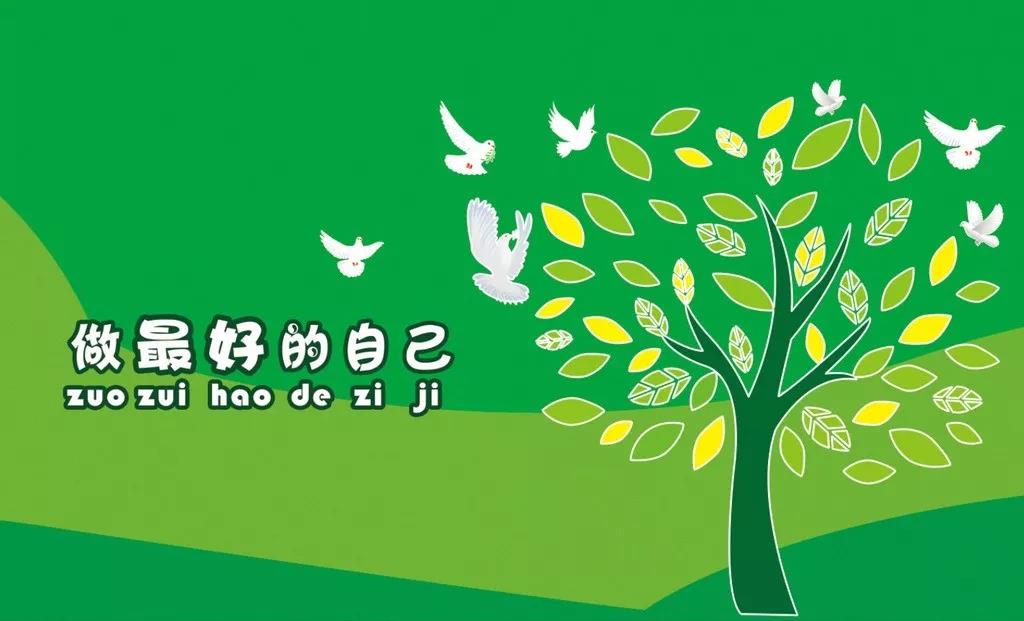 我的入职成长历程 我的入职成长历程