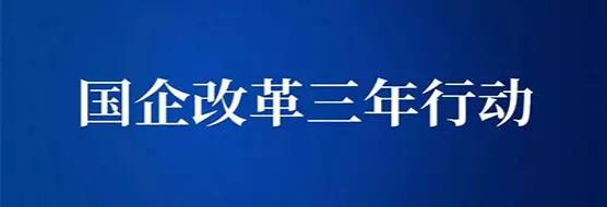 落实企业”双百行动”三年行动方案,有序推进“双合同”管理工作