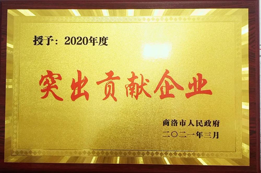 大西沟矿业公司获商洛市“2020年度突出贡献企业奖”殊荣 大西沟矿业公司获商洛市“2020年度突出贡献企业奖”殊荣