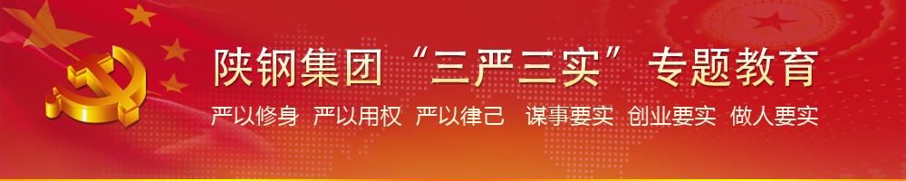 龙钢集团“两学一做”教育活动专题